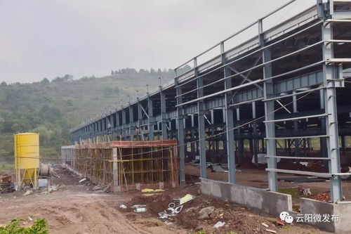 建房子還能像搭積木一樣,拼好就行 不信你來(lái)看云陽(yáng)這個(gè)產(chǎn)業(yè)園